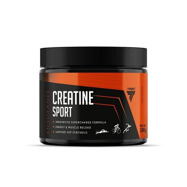 Endurance Creatine Sport, Fruit Punch - 300g