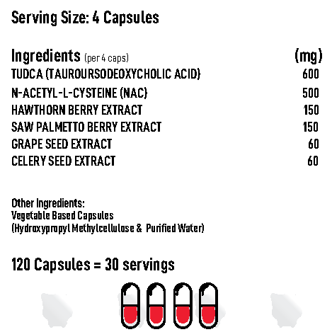 Alpha Neon Synergiz - Advanced Organ Support - GymStack