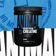 Animal Creatine Caps - GymStack