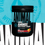 Animal Juiced Aminos 366g - GymStack