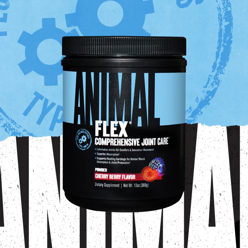 Animal Flex Powder 348g - GymStack