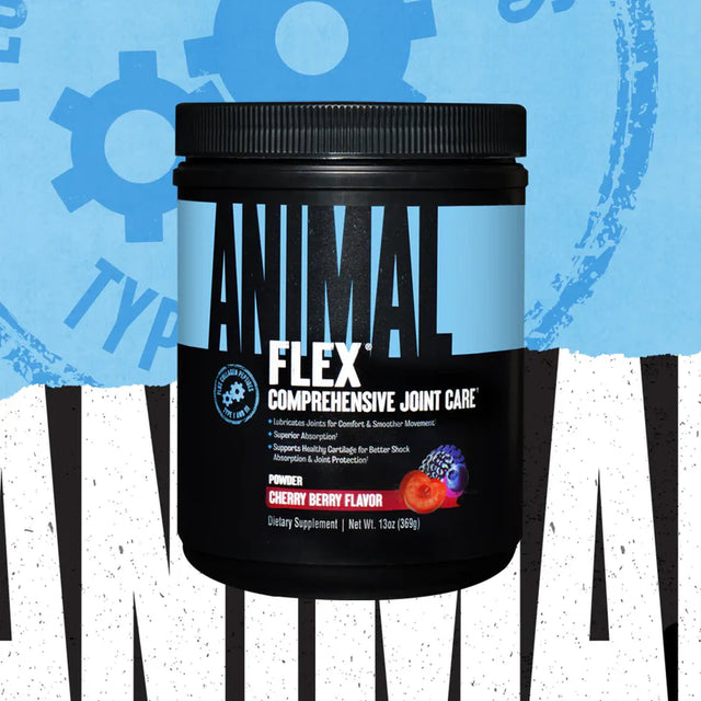 Animal Flex Powder 348g - GymStack