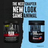 Animal Flex Powder 348g - GymStack