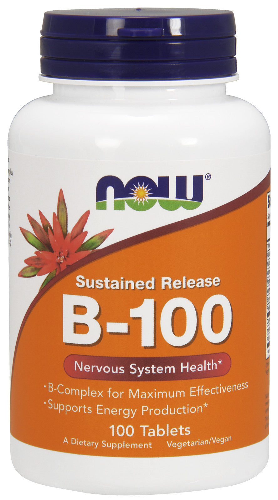 NOW Foods Vitamin B-100 Sustained Release