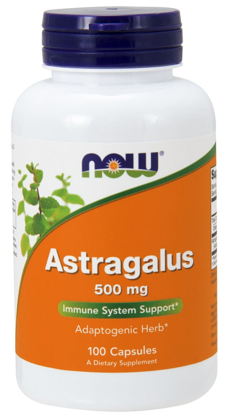 Astragalus - 500mg - 100 caps
