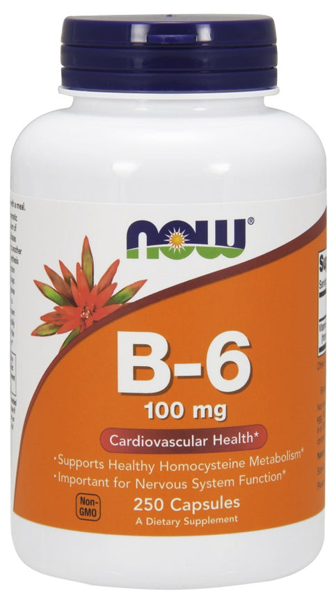 Vitamin B-6 - 100mg - 250 caps