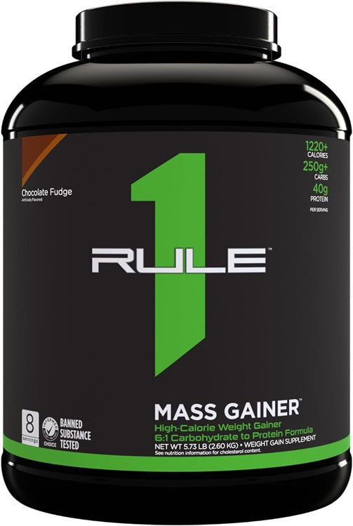 Mass Gainer - Chocolate Fudge - 2600g