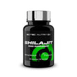 Shilajit - 60 caps